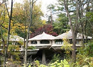Case degli Hobbit: dimore degli Elfi a Pitsford (New York, Usa) 
