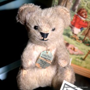 Bingo Bear orsetto Brighton museum