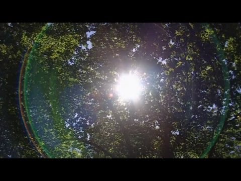 youtube placeholder image